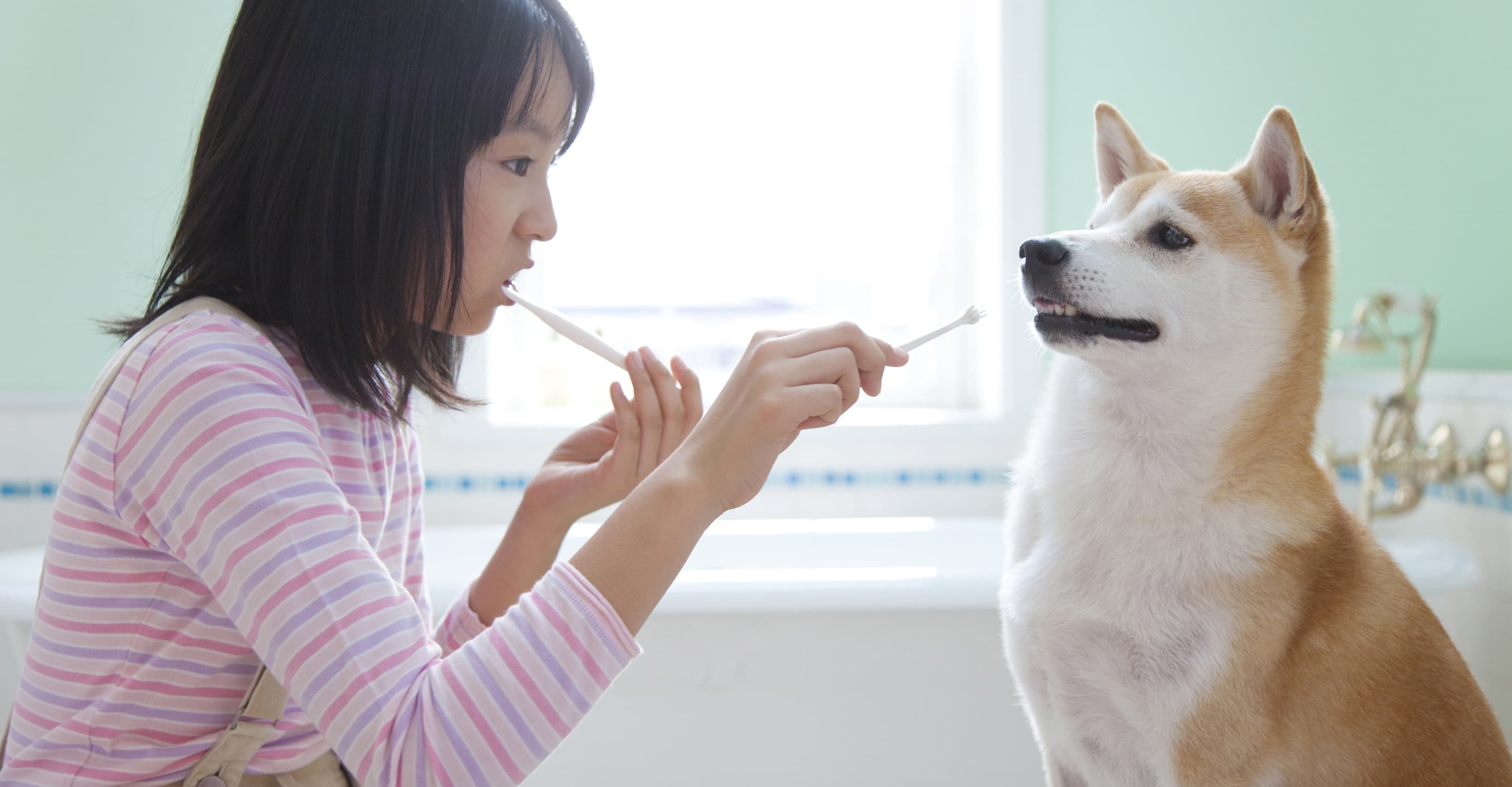 犬と子供が歯磨き